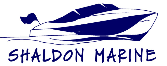 info5 logo