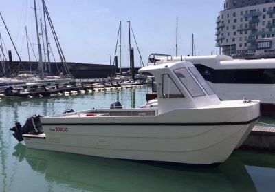 Dingle Bobcat Catamaran