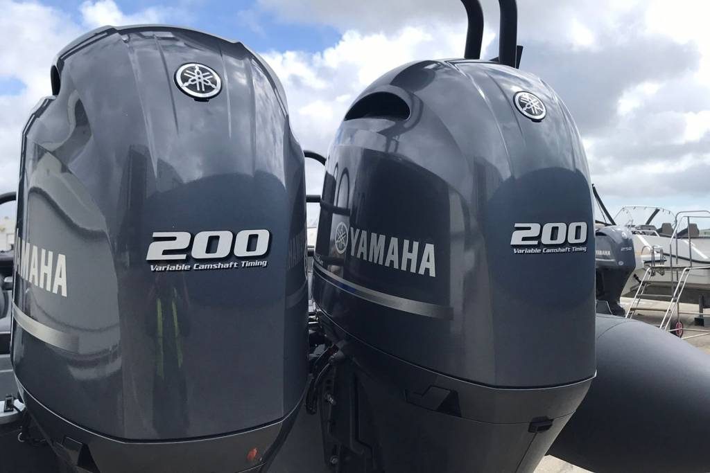 Ballistic Rib 2021