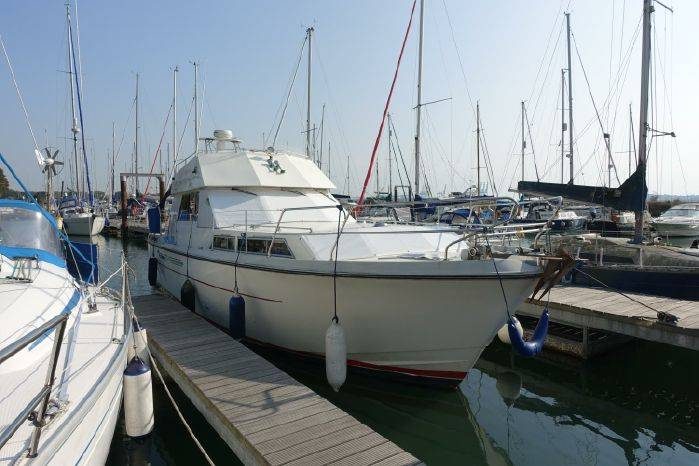 Princess 41