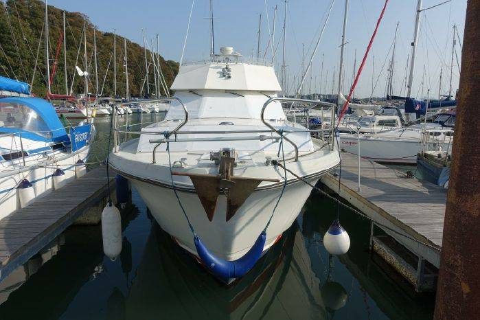 Princess 41