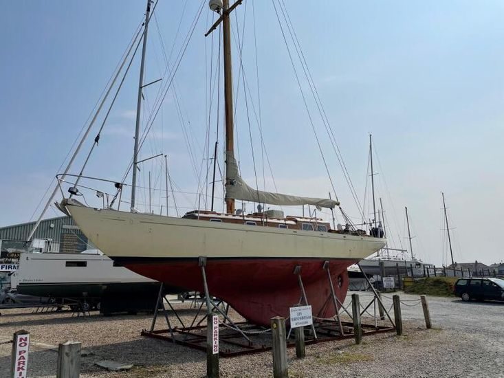 Buchanan 41