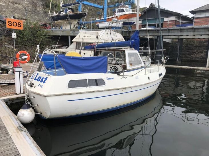 Tamar 24