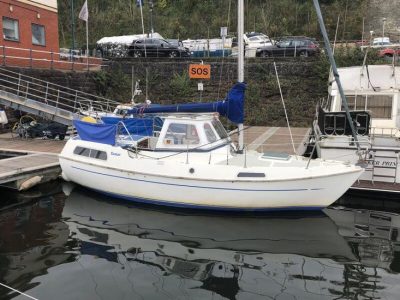 Tamar 24