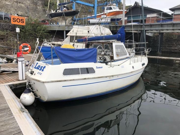 Tamar 24