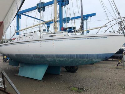 Kingfisher 30