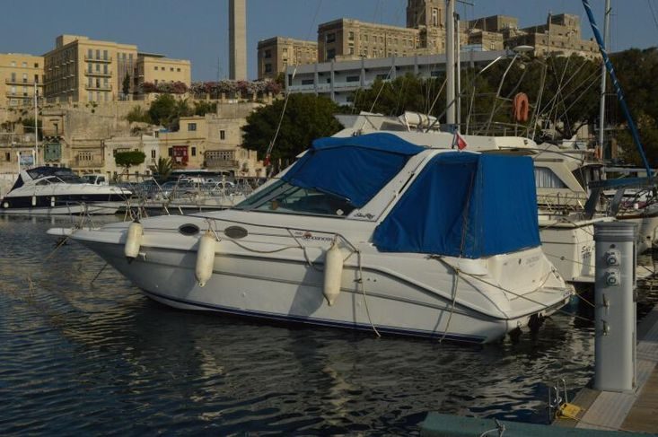 Sea Ray Sundancer 290
