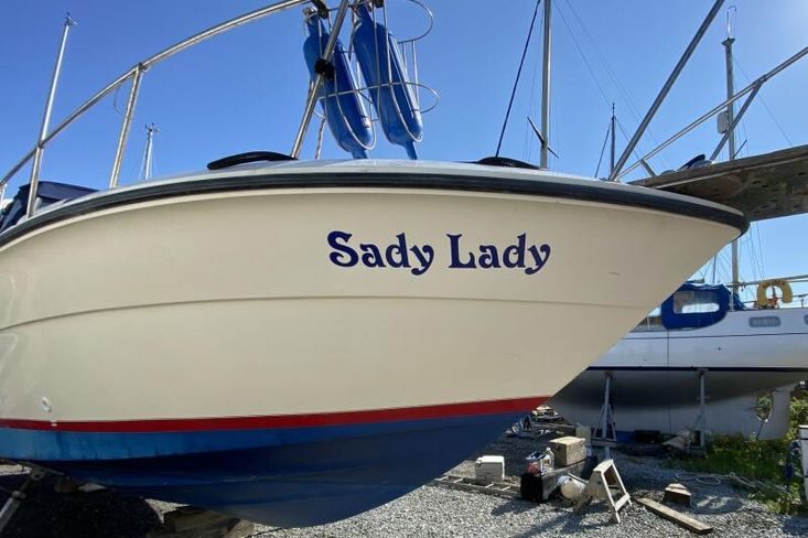 1989 Sea Ray Sundancer 270