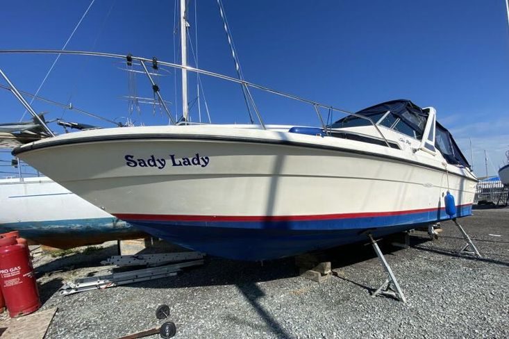 1989 Sea Ray Sundancer 270