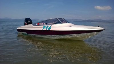 Fletcher ArrowFlash 15ft speedboat with 75HP Mercury Engine (Excellent Condition)