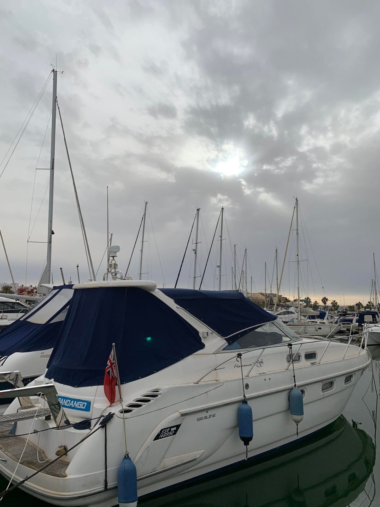 Sealine Flamenco 37