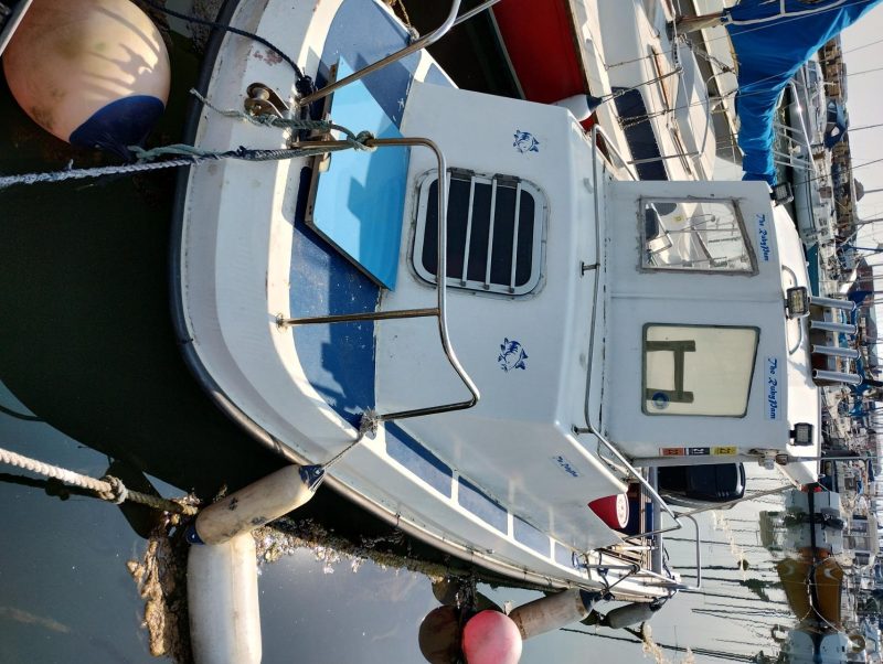 Wilson flyer fast fisher