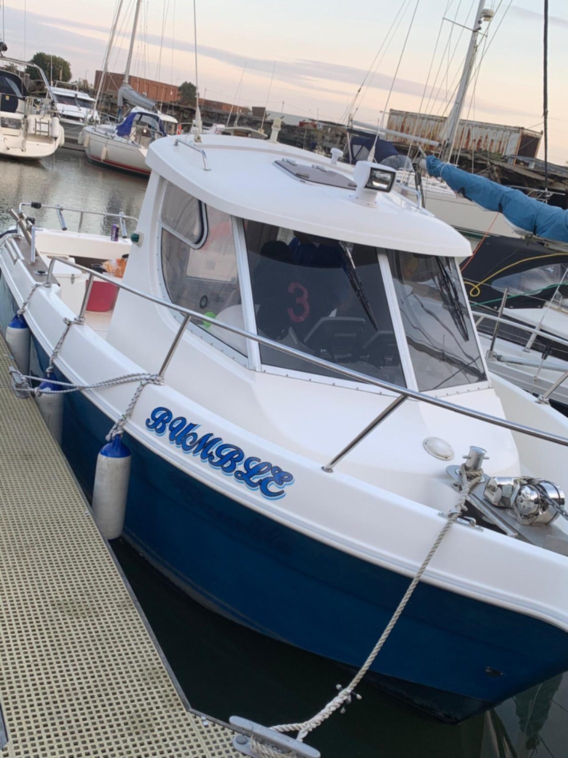 Arvor 230